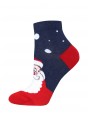 БРЕСТСКИЕ НОСКИ ДЕТСКИЕ 3079 SCHOOL (рисунок, НГ)