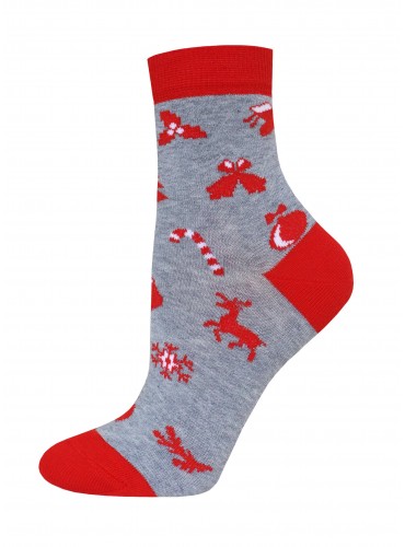 БРЕСТСКИЕ НОСКИ ДЕТСКИЕ 3079 SCHOOL (рисунок, НГ)