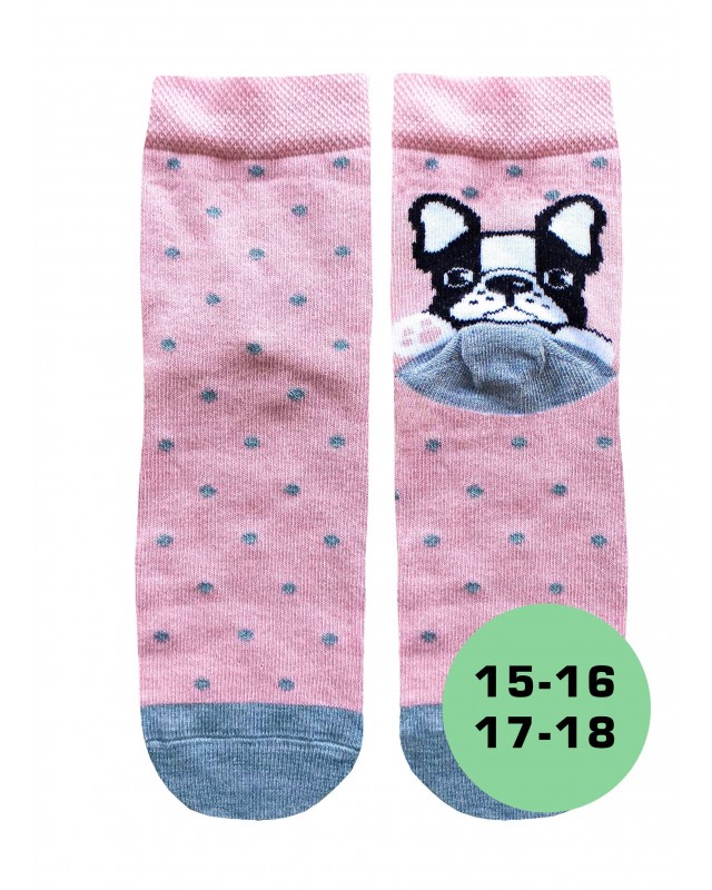 БРЕСТСКИЕ НОСКИ ДЕТСКИЕ 3081 KIDS (рисунок)