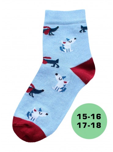 БРЕСТСКИЕ НОСКИ ДЕТСКИЕ 3081 KIDS (рисунок)