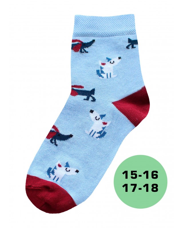 БРЕСТСКИЕ НОСКИ ДЕТСКИЕ 3081 KIDS (рисунок)