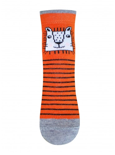 БРЕСТСКИЕ НОСКИ ДЕТСКИЕ 3081 KIDS (рисунок)