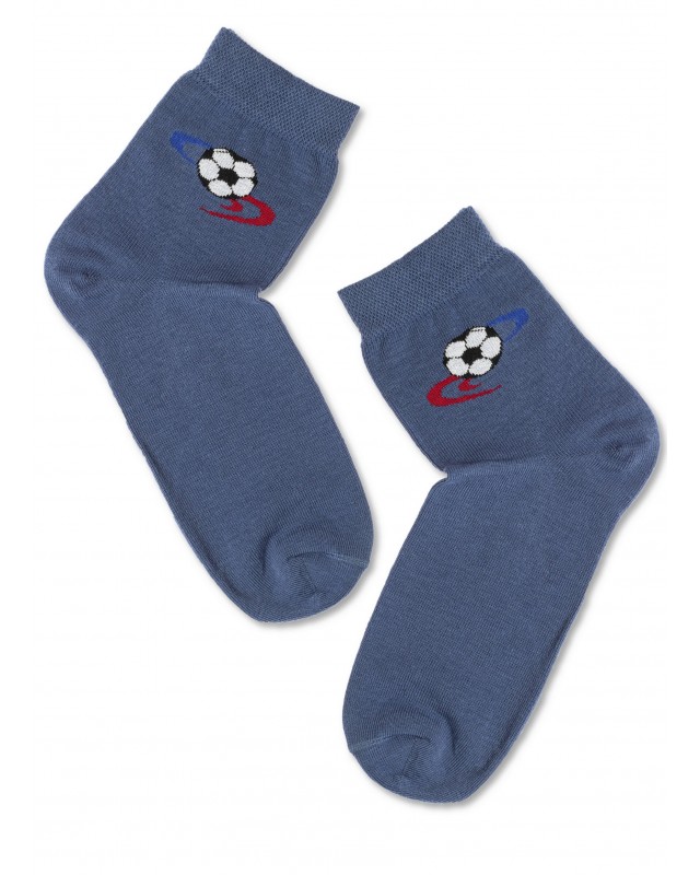 БРЕСТСКИЕ НОСКИ ДЕТСКИЕ 3081 SCHOOL (с рисунком)