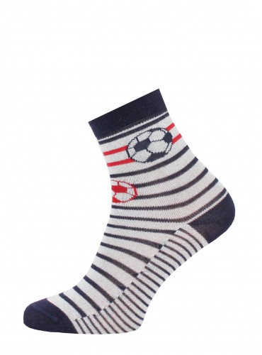 БРЕСТСКИЕ НОСКИ ДЕТСКИЕ 3081 SCHOOL (с рисунком)