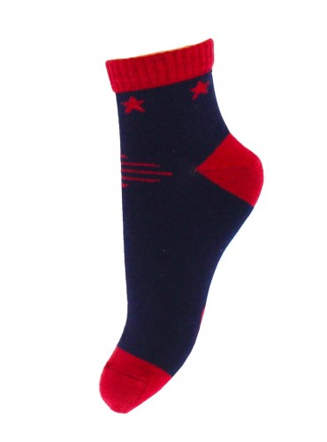 БРЕСТСКИЕ НОСКИ ДЕТСКИЕ 3085 SCHOOL (с рисунком)