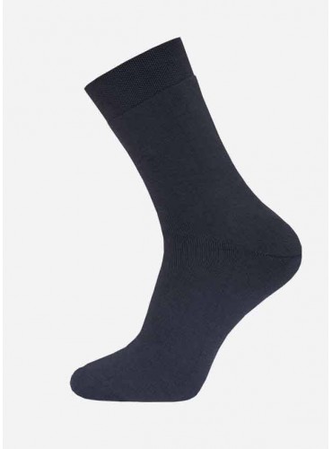 БРЕСТСКИЕ НОСКИ МУЖСКИЕ 2420 ARCTIC (махровые, однотон)