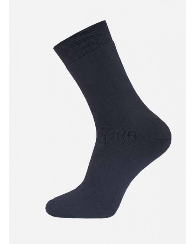 БРЕСТСКИЕ НОСКИ МУЖСКИЕ 2420 ARCTIC (махровые, однотон)